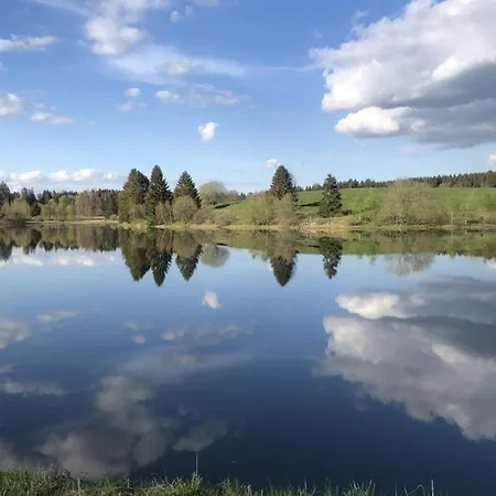 Am Sumpfteich * Buntenbock