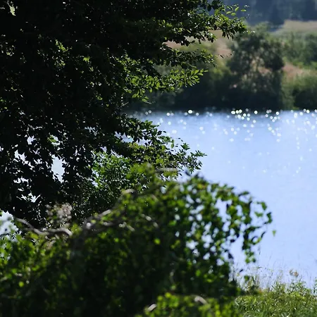 Am Sumpfteich * 클라우슈탈젤러펠트